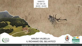 A06 Malga Valbella il ritorno al selvatico