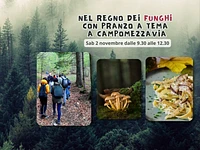 Nel regno dei funghi con pranzo a Campomezzavia - Sabato 2 novembre 2024 dalle 9.30