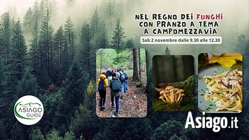 Escursione con pranzo a tema funghi sull'Altopiano di Asiago