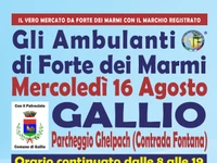 Mercato de Gli ambulanti di Forte dei marmi a Gallio agosto 2023