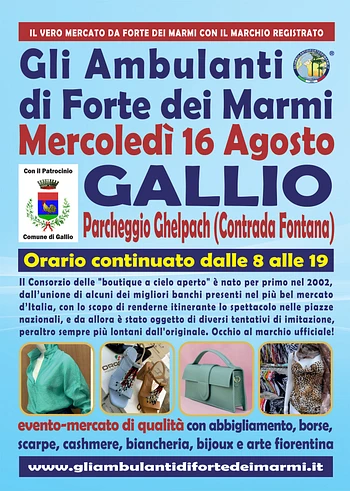 Mercato de Gli ambulanti di Forte dei marmi a Gallio agosto 2023