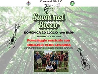 "SUONI NEL BOSCO" Pomeriggio musicale con Ukulele in Val di Nos - Gallio, 20 luglio 2025