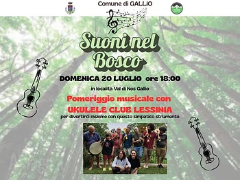 Suoni nel bosco concerto in natura a Gallio