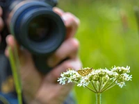 "Hàmost, oltre lo scatto" serata con il fotografo Ivan Mosele - Canove, venerdì 21 agosto 2026