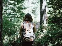 Ragazza Cammina nel Bosco