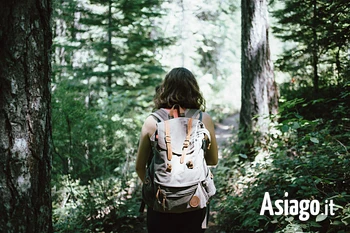 Ragazza Cammina nel Bosco