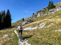 "Monte Fior: la città di roccia" tour guidato in E-bike - Rifugio Valmaron, Enego, 27 luglio 2025
