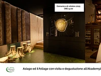 Visita rossi asiago