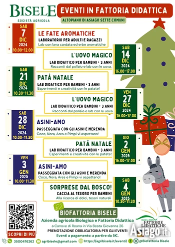 Inverno 24 25 Bisele eventi