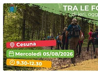 Escursione "Tra le foreste di ieri, oggi e domani" - Cesuna, mercoledì 5 agosto 2026