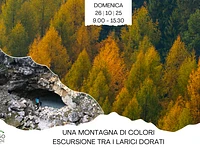 Una Montagna di Colori escursione tra i larici dorati