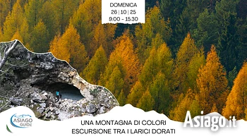 una montagna di colori escursione tra i larici dor