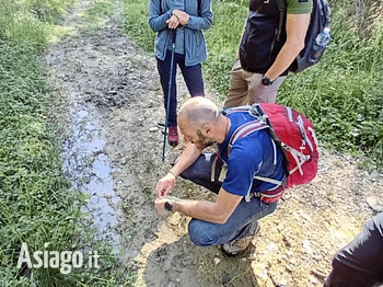 Investigatori della natura escursione guidata con il Fauno a Gallio