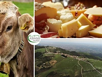 Copia di estate 2023 asiago guide