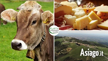 Copia di estate 2023 asiago guide