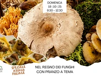 Nel regno dei funghi con pranzo a tema