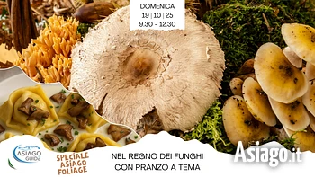 nel regno dei funghi con pranzo a tema