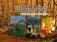 I colori di Asiago - foliage in faggeta - Sabato 19 ottobre 2024 dalle 9.30