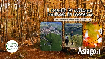 escursione in faggeta