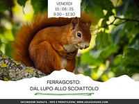  Dal Lupo allo Scoiattolo | Venerdì 15 agosto 2025 dalle 9.30