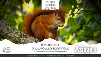 G03 Dal Lupo allo Scoiattolo