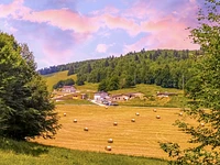 Theater in Malga mit Aperitif auf der Malga Verde - Samstag, 22. Juli 2023