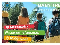 Baby trekking a SelvArt - Mezzaselva, lunedì 17 agosto 2026