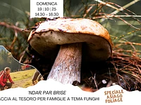 ‘ndar par brise caccia al tesoro per famiglie a tema funghi