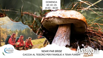 ndar par brise caccia al tesoro per famiglie a tem