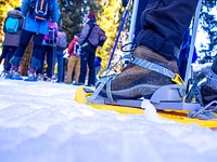 Snowshoeing with Biosphaera guides