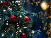 Lighting of the Christmas tree in Stuttgart - Gallio, 7 December 2025