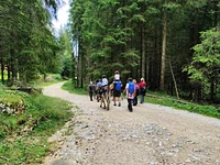 Escursione con gli asini con pic-nic al Boscon – Cesuna, Sabato 12 luglio 2025