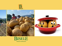 I patatosi | laboratorio per bambini + 3 alla Biofattoria Bisele  - Dom 8 settembre 2024 dalle 10.30