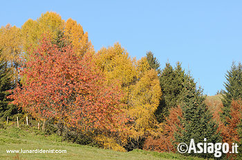 Autunno Denis