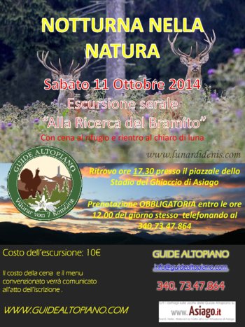 Bramito Cervo Bramito Cervo