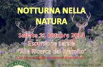 Naturalistic excursion-11 October 2014-Saturday EVENINGS