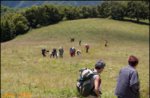 Escursione Guidata Naturalistica-Antiche Contrade- Foza 18 Agosto 2014