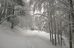 CIMA Ekar: Geführte Schneeschuh-Touren mit GUIDE PLATEAU Samstag, 12. März 2016