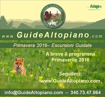 Hiking/TREKKING tours of spring 2016 GUIDES PLATEAU 