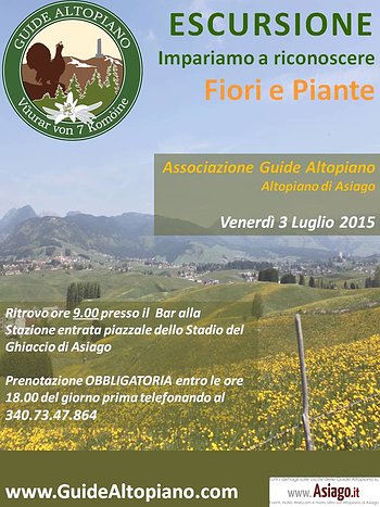 Fiori e Piante Fiori e Piante