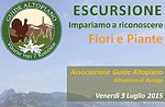 Naturalistische Excursion mit GuideAltopiano Blumen und Pflanzen, Freitag, Juli 3 