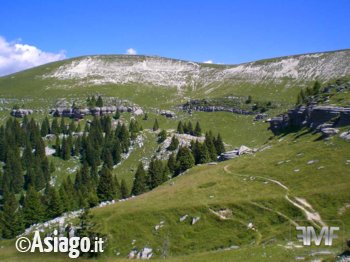 FiorMonte FiorMonte