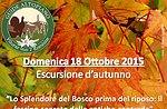 Splendore del Bosco prima del Riposo: Visita Guidata con Guide Altopiano 18 otto