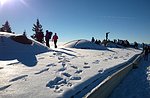 Strong Caicedo: -12/Guided snowshoe hike Guide Plateau December 2015