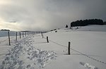 South side: the British Guided snowshoe hike with GUIDE March 5, 2016 PLATEAU