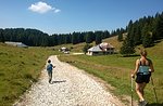 ANDAR PER MALGHE: Val Ant excursion with GUIDE plateau-July 20, 2016