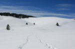 Geführte Schneeschuhtour historischen Führer Plateau "Meletta Front"-11. Januar 2015 
