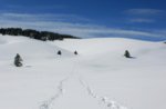 "FONTANELLA MONTE CORNO"Ciaspolata Guidata Storica Guide Altopiano 26 dicem-2016