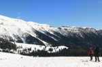 Schneeschuh-Wanderung im historischen Lärche-Mandriolo-21 Februar 2015