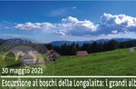 I BOSCHI DELLA LONGALAITA, escursione guidata naturalistica, 30 maggio 2021